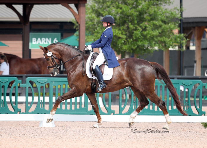 Dressage Success Story: Raising Kanes’ Horses