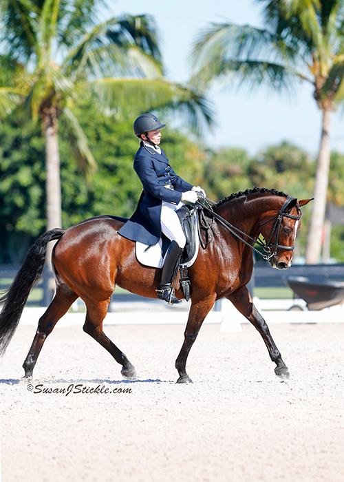 Gold Coast Dressage Association – July 2017 Newsletter