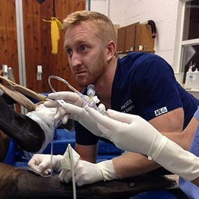 Top-Notch Teamwork and Excellent Patient Care Turn the Tide for Aladdin