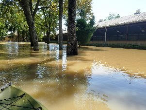 Houston Dressage Helps During Hurricane Harvey